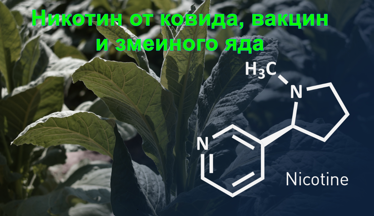 Никотин для устранения последствий ковида, вакцин и змеиного яда. Протокол д-ра Брайана Ардиса