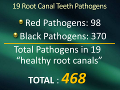 root canal pathogens